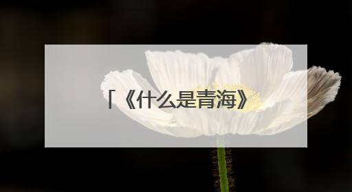 《什么是青海》图书出版座谈会召开 全景展现大美青海发展新貌