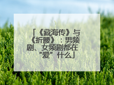 《藏海传》与《折腰》：男频剧、女频剧都在“爱”什么