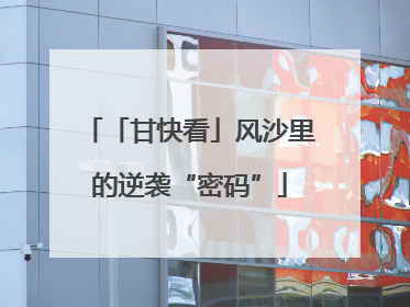 「甘快看」风沙里的逆袭“密码”