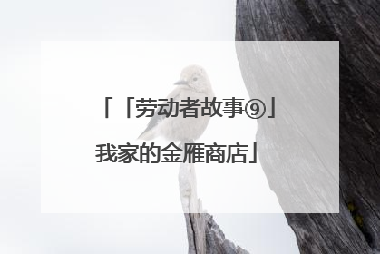 「劳动者故事⑨」我家的金雁商店