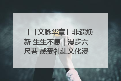 「文脉华章」非遗焕新 生生不息｜漫步六尺巷 感受礼让文化浸润的“巷”往生活
