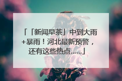 「新闻早茶」中到大雨+暴雨！河北最新预警，还有这些热点……
