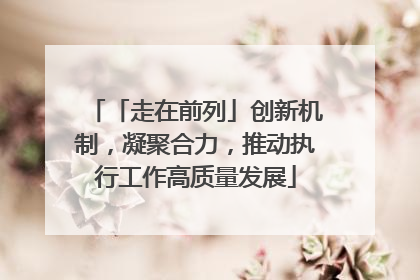 「走在前列」创新机制，凝聚合力，推动执行工作高质量发展