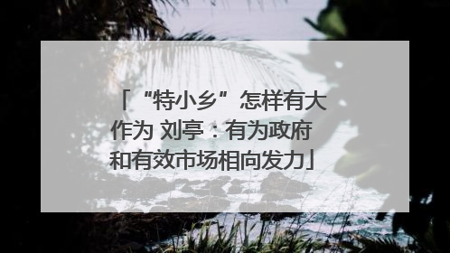 “特小乡”怎样有大作为 刘亭：有为政府和有效市场相向发力