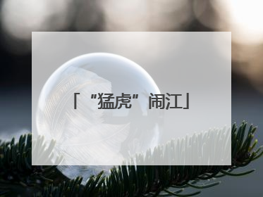 “猛虎”闹江