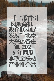 “瓜香引凤聚商机 政企联动促发展”北京大兴庞各庄镇 2025 年西瓜季政企联动产业推介活动圆满举行