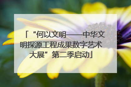 “何以文明——中华文明探源工程成果数字艺术大展”第二季启动