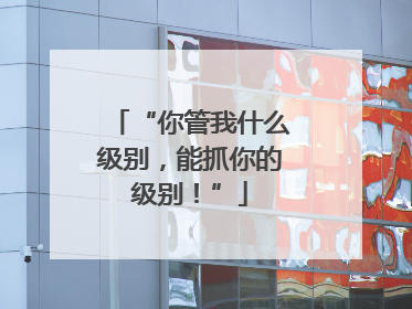 “你管我什么级别，能抓你的级别！”