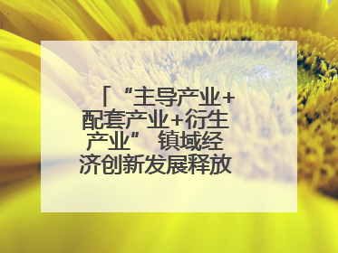“主导产业+配套产业+衍生产业” 镇域经济创新发展释放强劲发展动能