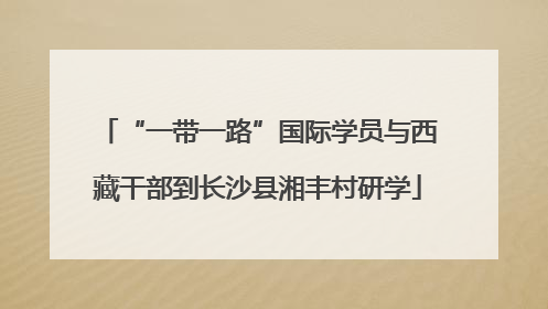 “一带一路”国际学员与西藏干部到长沙县湘丰村研学
