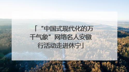 “中国式现代化的万千气象”网络名人安徽行活动走进休宁