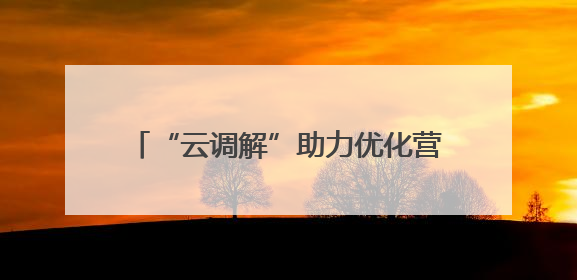 “云调解”助力优化营商环境，20天远程化解百万工程欠款纠纷