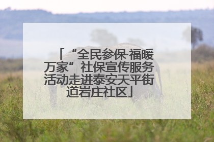 “全民参保·福暖万家”社保宣传服务活动走进泰安天平街道岩庄社区