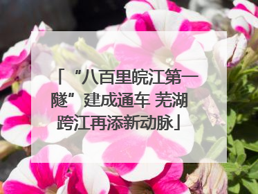“八百里皖江第一隧”建成通车 芜湖跨江再添新动脉