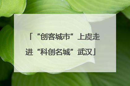 “创客城市”上虞走进“科创名城”武汉