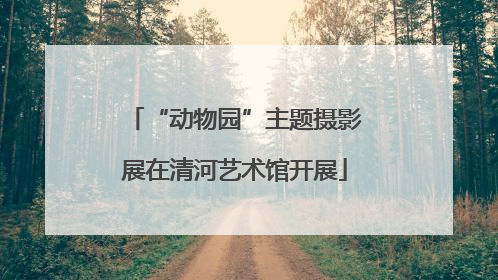 “动物园”主题摄影展在清河艺术馆开展