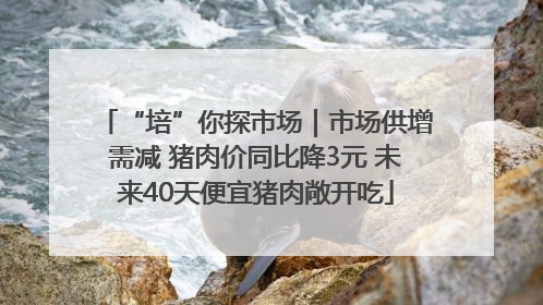 “培”你探市场｜市场供增需减 猪肉价同比降3元 未来40天便宜猪肉敞开吃