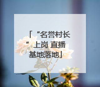 “名誉村长”上岗 直播基地落地