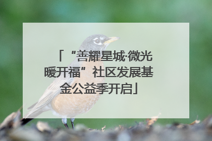 “善耀星城·微光暖开福”社区发展基金公益季开启