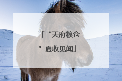 “天府粮仓”夏收见闻
