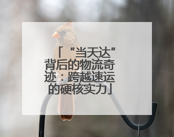 “当天达”背后的物流奇迹：跨越速运的硬核实力