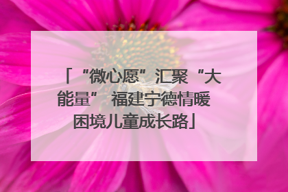 “微心愿”汇聚“大能量” 福建宁德情暖困境儿童成长路
