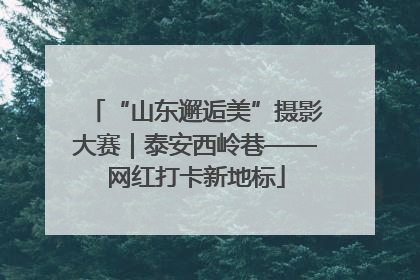 “山东邂逅美”摄影大赛｜泰安西岭巷——网红打卡新地标