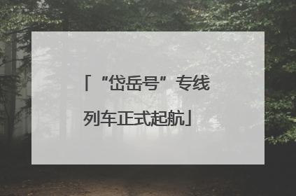 “岱岳号”专线列车正式起航