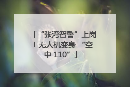 “张湾智警”上岗！无人机变身 “空中 110”