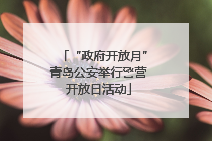 “政府开放月”青岛公安举行警营开放日活动