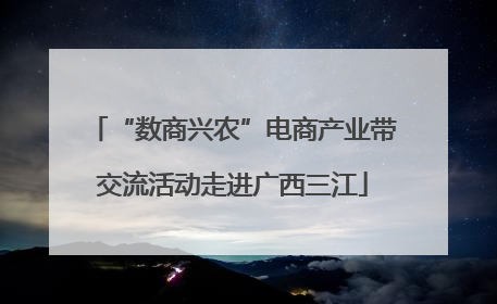 “数商兴农”电商产业带交流活动走进广西三江