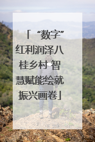 “数字”红利润泽八桂乡村 智慧赋能绘就振兴画卷