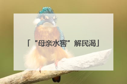 “母亲水窖”解民渴