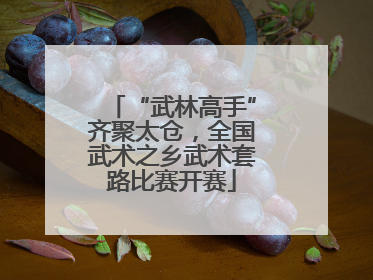 “武林高手”齐聚太仓，全国武术之乡武术套路比赛开赛