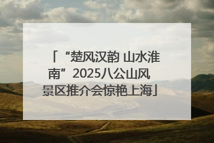 “楚风汉韵 山水淮南”2025八公山风景区推介会惊艳上海