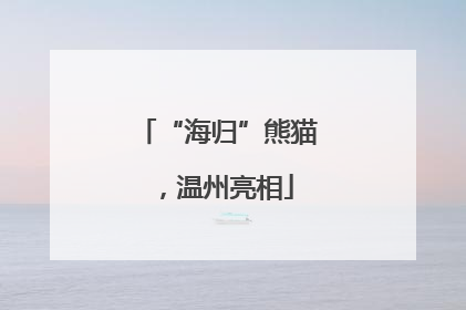 “海归”熊猫，温州亮相