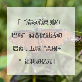 “清凉消夏 购在巴蜀”消费促进活动启幕，五城“票根+”让利超亿元
