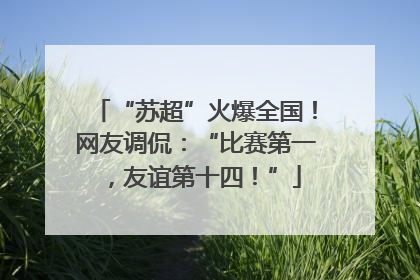 “苏超”火爆全国！网友调侃：“比赛第一，友谊第十四！”