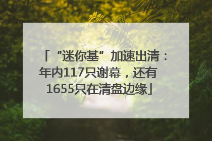 “迷你基”加速出清：年内117只谢幕，还有1655只在清盘边缘