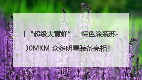 “超级大黄蜂”、特色涂装苏-30MKM 众多明星装备亮相