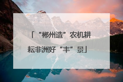“郴州造”农机耕耘非洲好“丰”景