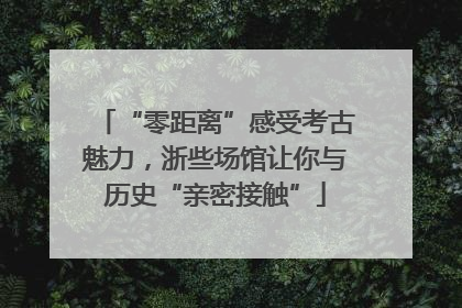 “零距离”感受考古魅力，浙些场馆让你与历史“亲密接触”