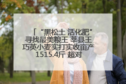 “黑松土 活化肥”寻找最美粮王 莘县王巧英小麦实打实收亩产1515.4斤 超对照田144斤！