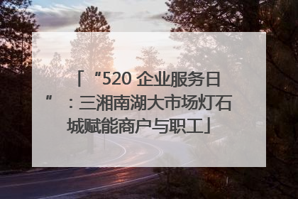 “520 企业服务日”：三湘南湖大市场灯石城赋能商户与职工