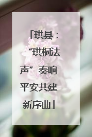 珙县：“珙桐法声”奏响平安共建新序曲