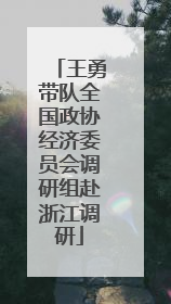 王勇带队全国政协经济委员会调研组赴浙江调研