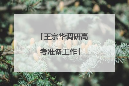 王宗华调研高考准备工作