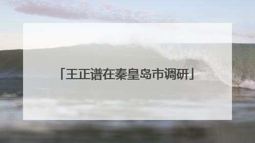 王正谱在秦皇岛市调研