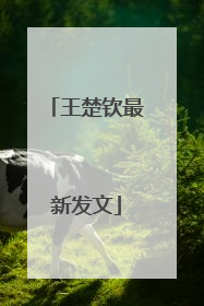 王楚钦最新发文
