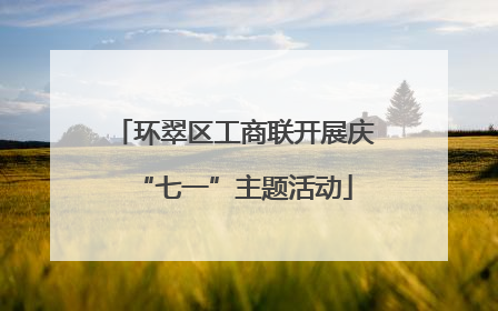 环翠区工商联开展庆“七一”主题活动